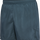 DARK SLATE